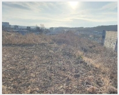  2024Ÿ85617  ֽ  ָ 209      (1)