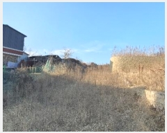  2024Ÿ85617  ֽ  ָ 209      (1)