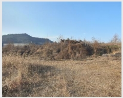  2024Ÿ85617  ֽ  ָ 209      (1)