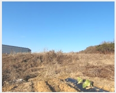  2024Ÿ85617  ֽ  ָ 209      (1)