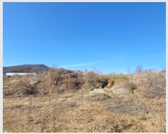  2024Ÿ85617  ֽ  ָ 209      (1)