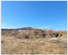  2024Ÿ85617  ֽ  ָ 209      (1)