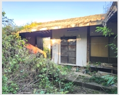  2024Ÿ7341  ֽ ߵ 184       ð