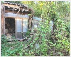  2024Ÿ7341  ֽ ߵ 184       ð