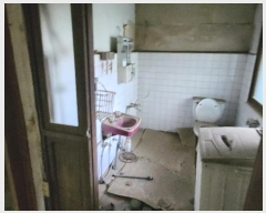  2024Ÿ7341  ֽ ߵ 184       ð