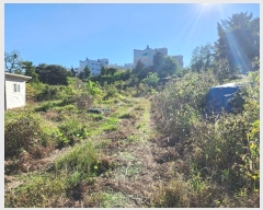  2024Ÿ7341  ֽ ߵ 184       ð