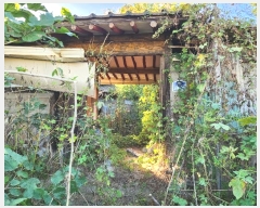  2024Ÿ7341  ֽ ߵ 184       ð