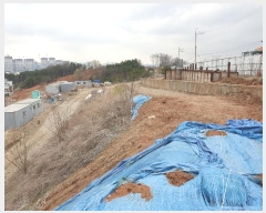  2024Ÿ65606  ֽ ߴ絿 91-25       (Ӿ)