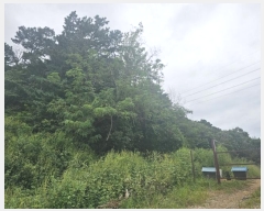  2024Ÿ76453   籸 ֱ 61-2      (Ӿ)