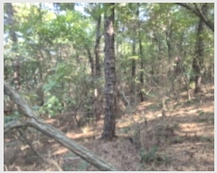  2024Ÿ76453   籸 ֱ 61-2      (Ӿ)