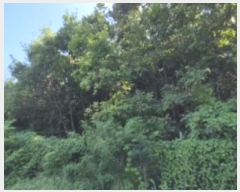  2024Ÿ76453   籸 ֱ 61-2      (Ӿ)