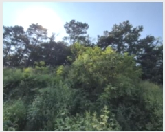  2024Ÿ76453   籸 ֱ 61-2      (Ӿ)