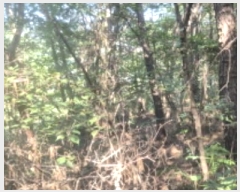  2024Ÿ76453   籸 ֱ 61-2      (Ӿ)