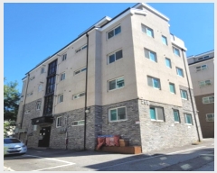  2024Ÿ��81417  �ټ���(����)���