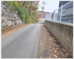  2024Ÿ84706  ֽ ź  137-15      ()