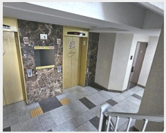  2024Ÿ��87675  ����Ʈ���