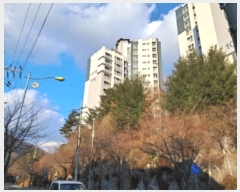  2024Ÿ��87675  ����Ʈ���