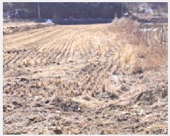  2024Ÿ��88067  ����