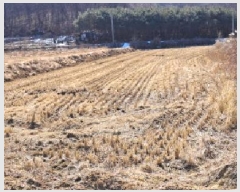  2024Ÿ��88067  ����