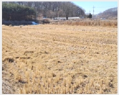  2024Ÿ��88067  ����