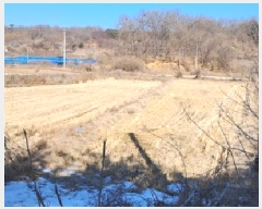  2024Ÿ��88067  ����