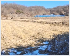  2024Ÿ��88067  ����