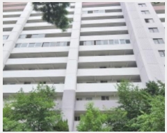 2024Ÿ5055   ϻ굿 鼮 109, 305 5508ȣ (鼮,۸Ʈ)   Ʈ
