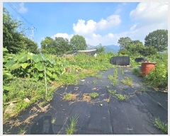  2024Ÿ��5451 ��� ����� ���籸 ���ൿ 251-1      ����(��1)���