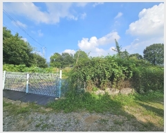  2024Ÿ��5451 ��� ����� ���籸 ���ൿ 251-1      ����(��1)���