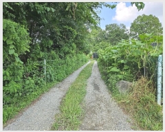  2024Ÿ��5451 ��� ����� ���籸 ���ൿ 251-1      ����(��1)���