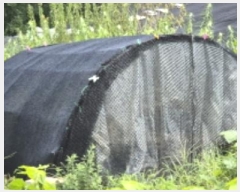  2024Ÿ��5451 ��� ����� ���籸 ���ൿ 251-1      ����(��1)���