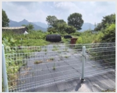  2024Ÿ��5451 ��� ����� ���籸 ���ൿ 251-1      ����(��1)���