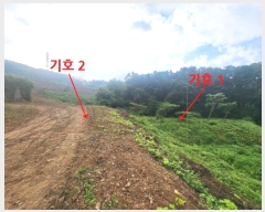  2024Ÿ��7181  �����