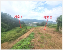  2024Ÿ��7181  �����