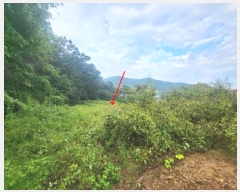  2024Ÿ��7181  �����