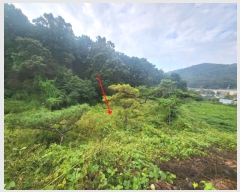  2024Ÿ��7181  �����