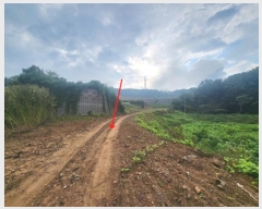  2024Ÿ��7181  �����