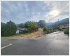  2024Ÿ��7181  �����