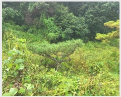  2024Ÿ��7181  �����