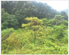  2024Ÿ��7181  �����