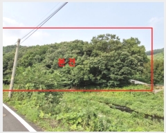  2024Ÿ74259  ֽ   6-2      (Ӿ)