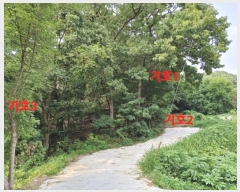  2024Ÿ74259  ֽ   6-2      (Ӿ)