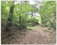  2024Ÿ74259  ֽ   6-2      (Ӿ)