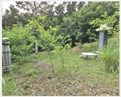  2024Ÿ74259  ֽ   6-2      (Ӿ)