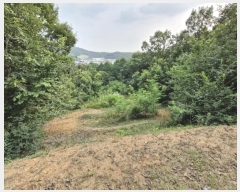  2024Ÿ74259  ֽ   6-2      (Ӿ)