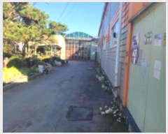  2024Ÿ��83796 ��� ����� �ϻ꼭�� ���굿 1517-3      ������