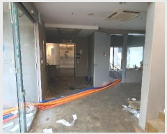  2024Ÿ84553  ֽ ź ︮ 1652-506      ٸü,󰡰