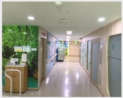  2024Ÿ��1732  �������