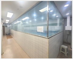  2024Ÿ��4588  �ٸ��󰡰��