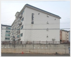  2024Ÿ8399   籸 3 11, ̵ 02ȣ (굿,)   ټ,